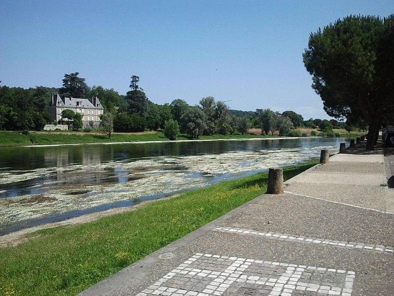 Willa L'Aulerie Saint-Meard-de-Gurcon Zewnętrze zdjęcie